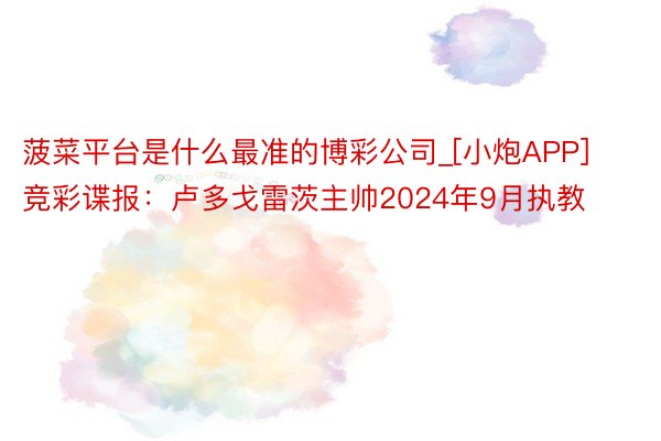 菠菜平台是什么最准的博彩公司_[小炮APP]竞彩谍报：卢多戈雷茨主帅2024年9月执教